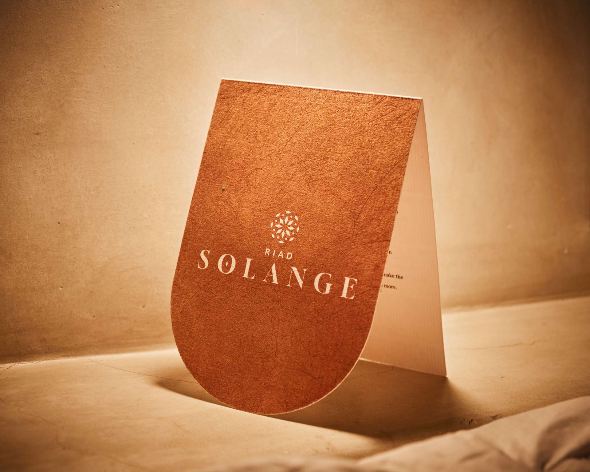 Riad-Solange 27 Riad Solange - Riad authentique à Marrakech - Séjour & Bien-être